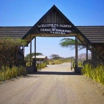 Desfiladeiro de Olduvai: descubra o lugar onde começou a humanidade - reprodução/ tripadviser