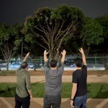 Vídeo: deputados gritam para árvore da sede da PF onde Bolsonaro está preso - Reprodução/Redes Sociais