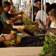Festival da Jabuticaba é o Natal de Sabará - Túlio Santos/EM/D.A Press