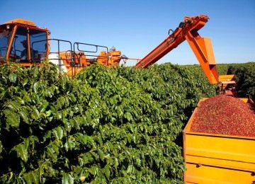 O caf&eacute; foi respons&aacute;vel por mais da metade da pauta exportadora de Minas Gerais, somando 56,1% do faturamento, com US$ 10,15 bilh&otilde;es -  (crédito: Cerrado Mineiro/divulga&ccedil;&atilde;o)