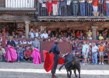 Também conhecidas como tauromaquia, as touradas são uma tradição controversa com raízes profundas em diversas culturas, principalmente na Península Ibérica e em partes da América Latina. -  (crédito: wikimedia commons Agustí Amorós Joseph)
