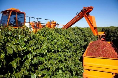 O caf&eacute; foi respons&aacute;vel por mais da metade da pauta exportadora de Minas Gerais, somando 56,1% do faturamento, com US$ 10,15 bilh&otilde;es -  (crédito: Cerrado Mineiro/divulga&ccedil;&atilde;o)