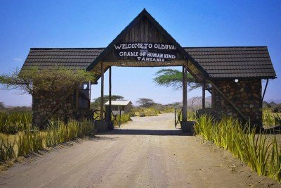 Localizado na Tanzânia, o Desfiladeiro de Olduvai é um sítio arqueológico considerado o berço da humanidade por abrigar fósseis e ferramentas com mais de 2 milhões de anos. -  (crédito: reprodução/ tripadviser)