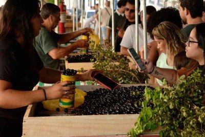 Jabuticaba é estrela da festa que tradicionalmente atrai multidões à cidade histórica de Sabará
 -  (crédito: Túlio Santos/EM/D.A Press)