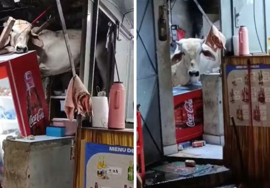 Reprodução / redes sociais