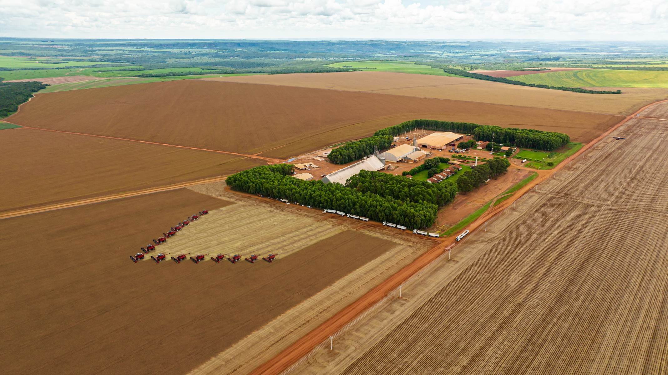 Grupo Bom Jesus implementa novas práticas de governança - DINO