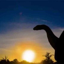 Esses dinossauros habitaram as terras brasileiras -  Divulgação