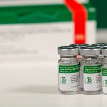 A nova vacina contra a dengue estará no SUS? Tire suas dúvidas - Fundação Butantan/Reprodução 