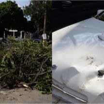 Árvore despenca e atinge Mercedes no Barro Preto, em BH; veja fotos - Túlio Santos/EM/D.A.Press
