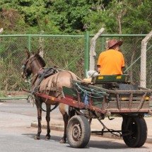 A dois meses do fim da atividade, carroceiros de BH se dizem desamparados