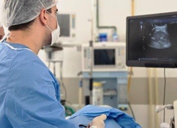 Biópsia transperineal revela câncer de próstata em 24h -  (crédito: DINO)