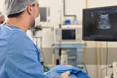 Biópsia transperineal revela câncer de próstata em 24h -  (crédito: DINO)