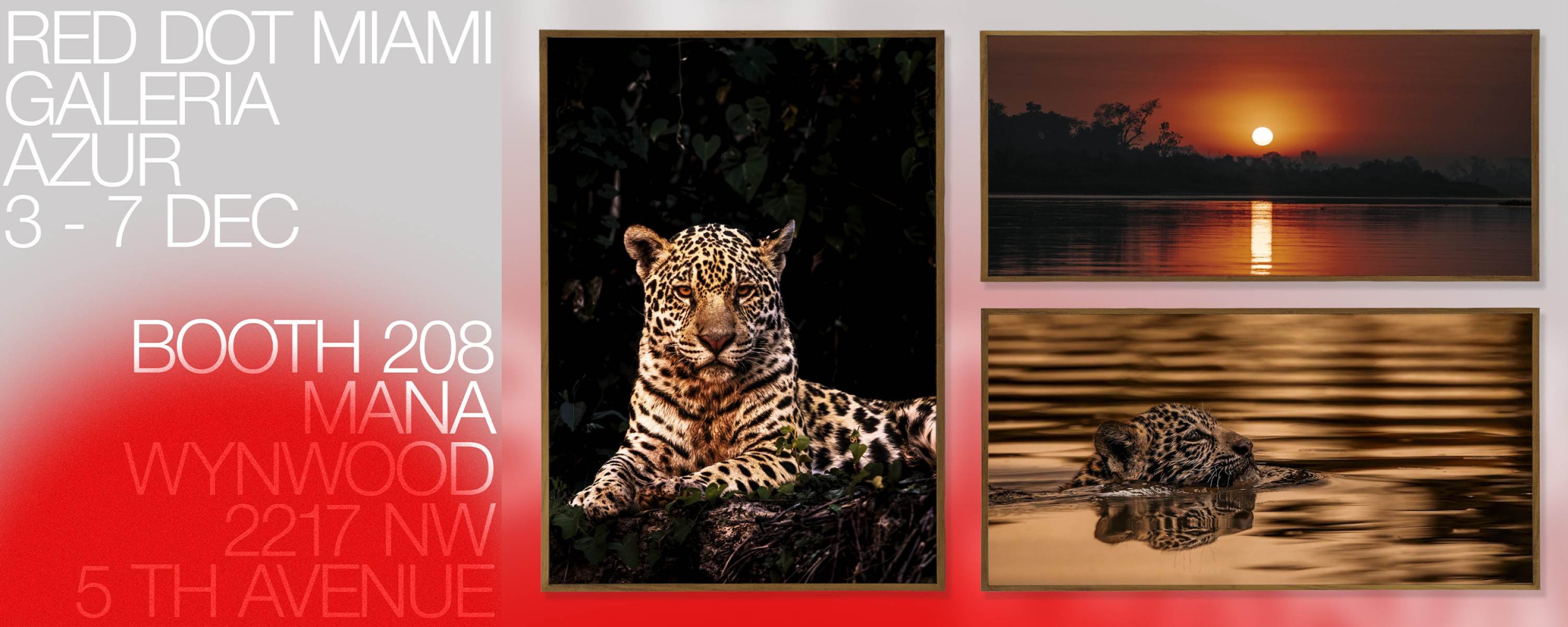 Fotógrafo brasileiro leva o Pantanal à Art Basel Miami 2025 - DINO