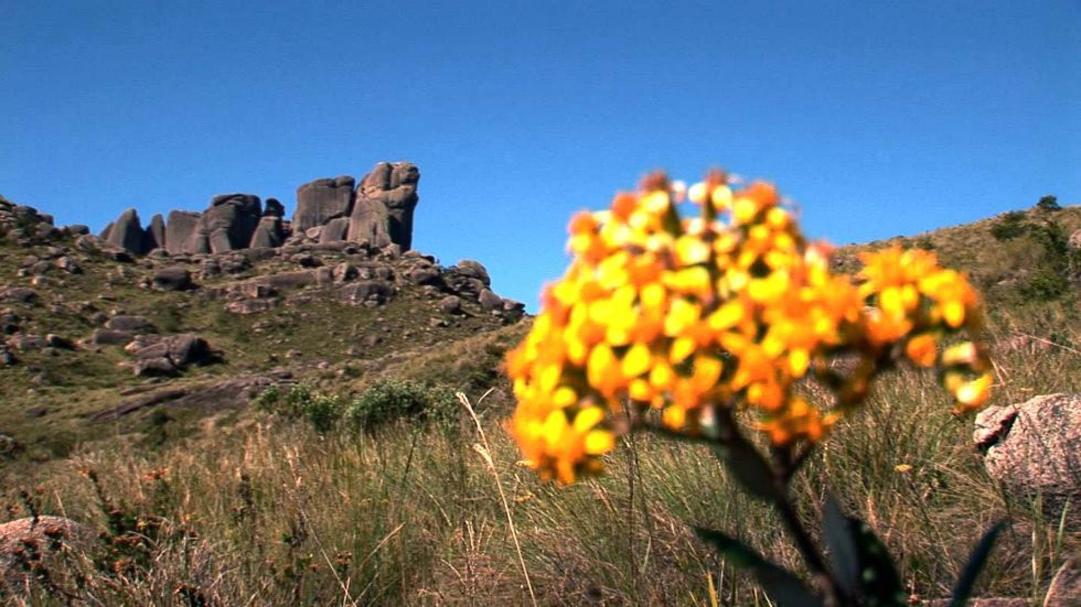 Parque Nacional do Itatiaia, em Itamonte, oferece trilhas, cachoeiras, camping, que incentivam a visita respons&aacute;vel 