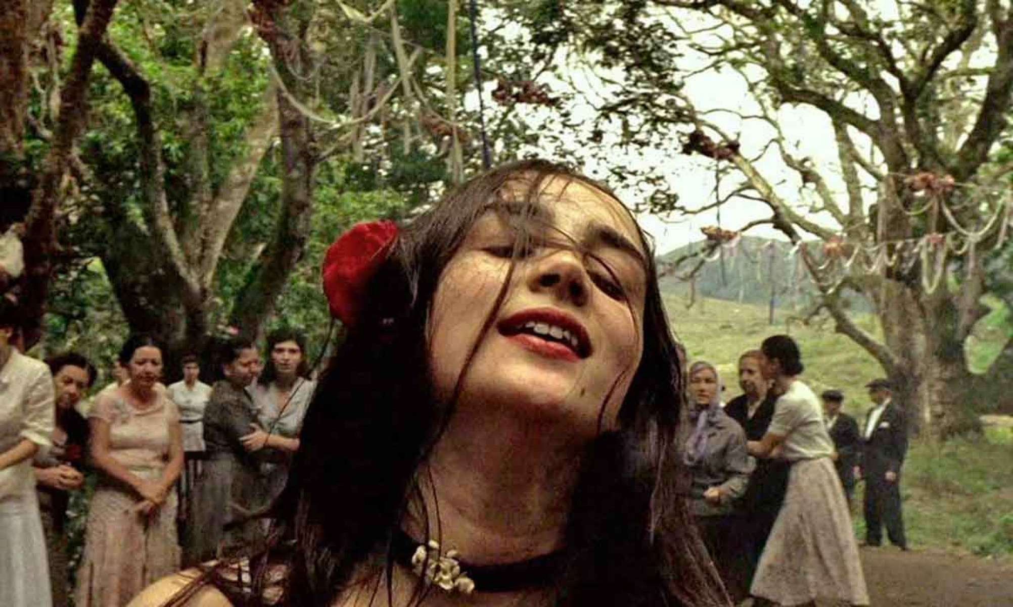 Simone Spoladore em cena do filme Lavoura arcaica