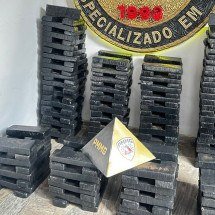 Grande BH: motorista é flagrado e preso com caminhão carregado de maconha - PMMG