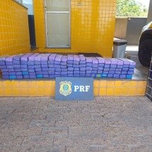 Dois homens são presos transportando 120 kg de maconha em carro na BR-262 - PRF/Reprodução