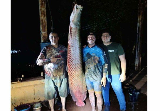 Arquivo pessoal/divulgação