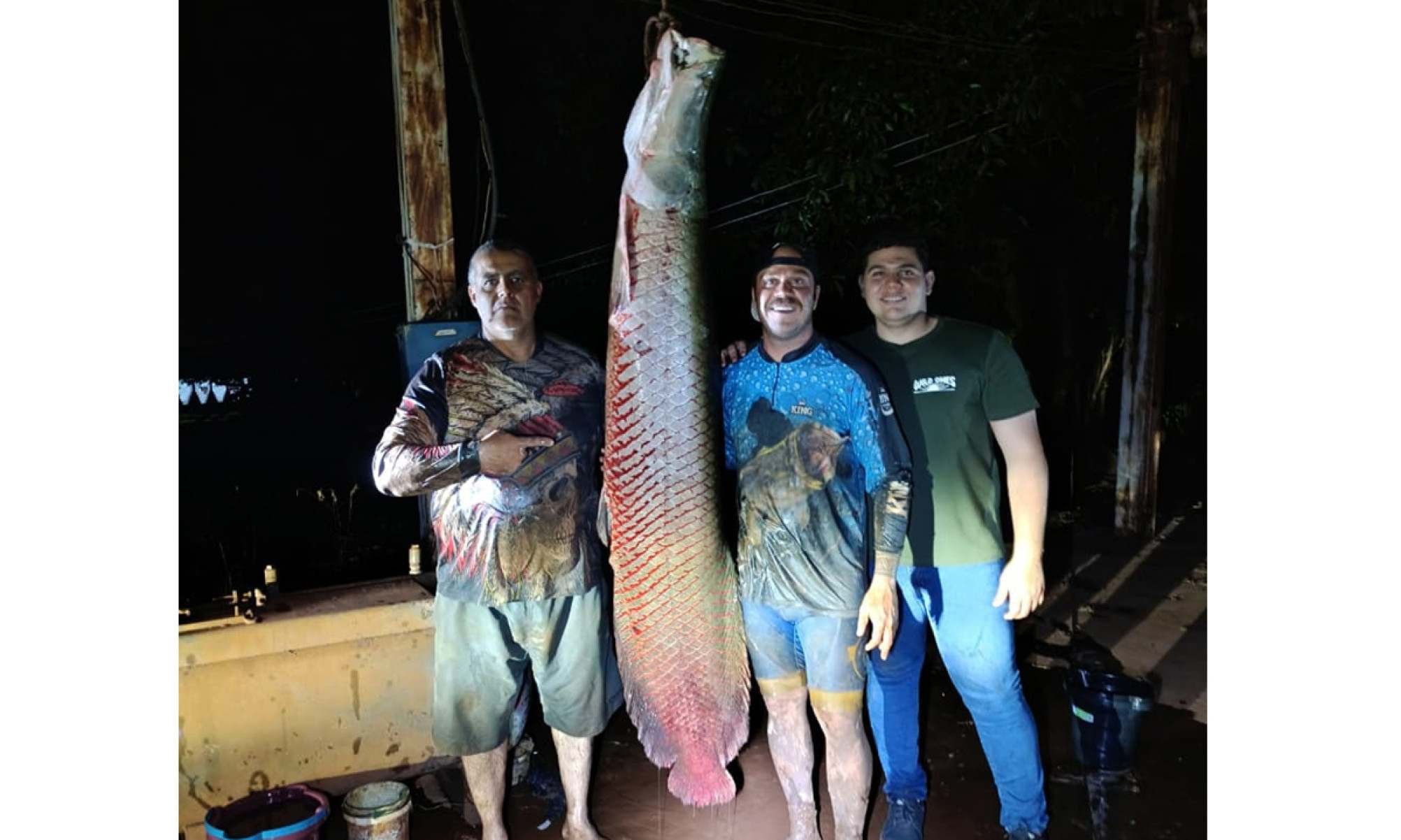 Peixe gigante: pescadores de MG fisgam pirarucu de 2,07 metros e 124 quilos - Arquivo pessoal/divulgaÃ§Ã£o