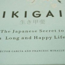 O que a filosofia japonesa do Ikigai ensina à vida contemporânea - Suraj Nath/Unsplash