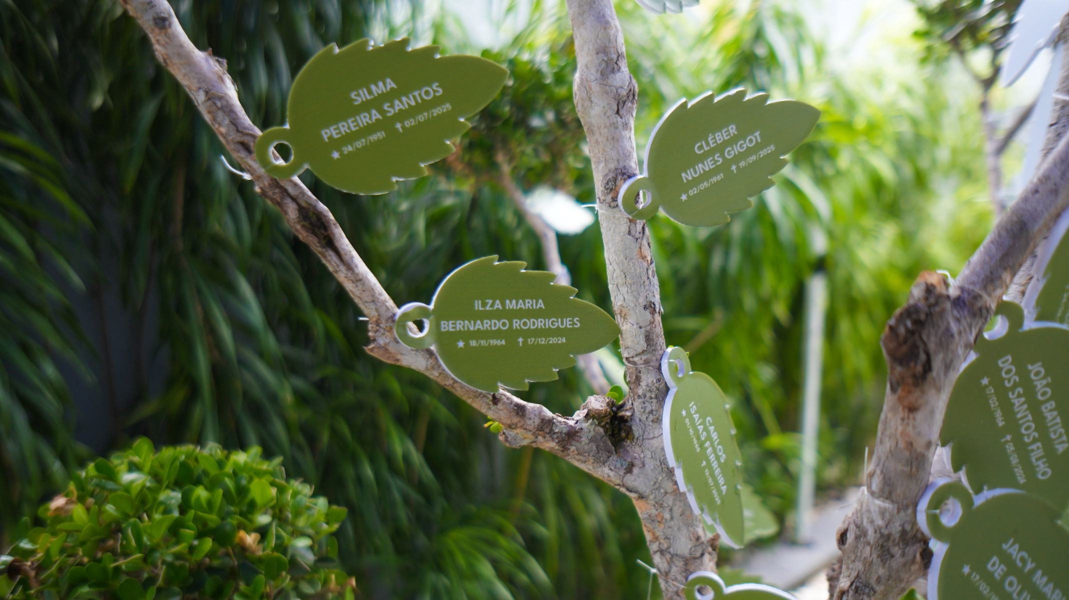 Grupo Riopae realiza seu tradicional evento de Finados  - DINO