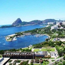 Palmeira plantada por Burle Marx e sumaúma do Jardim Botânico viram atração turística -  Rodrigo Soldon/Wikimédia Commons