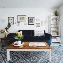 Minúsculas, mas devastadoras: como eliminar de vez as pragas domésticas - Taylor Heery Unsplash