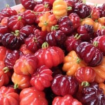 Azedinha boa:  polifenóis da pitanga fazem bem à pele - Imagem de Luciano Perdigão Perdigão por Pixabay