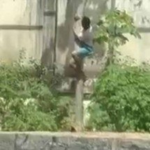 Homem invade jaula e é morto por leoa em zoológico de João Pessoa