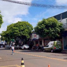 Cachorro ‘furta’ bicho de pelúcia, mas retorna para devolver o brinquedo - Reprodução/YouTube