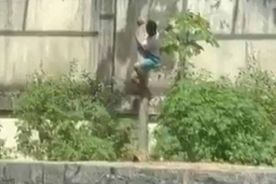 Homem invade recinto de leoa -  (crédito: Reprodução / Redes sociais)