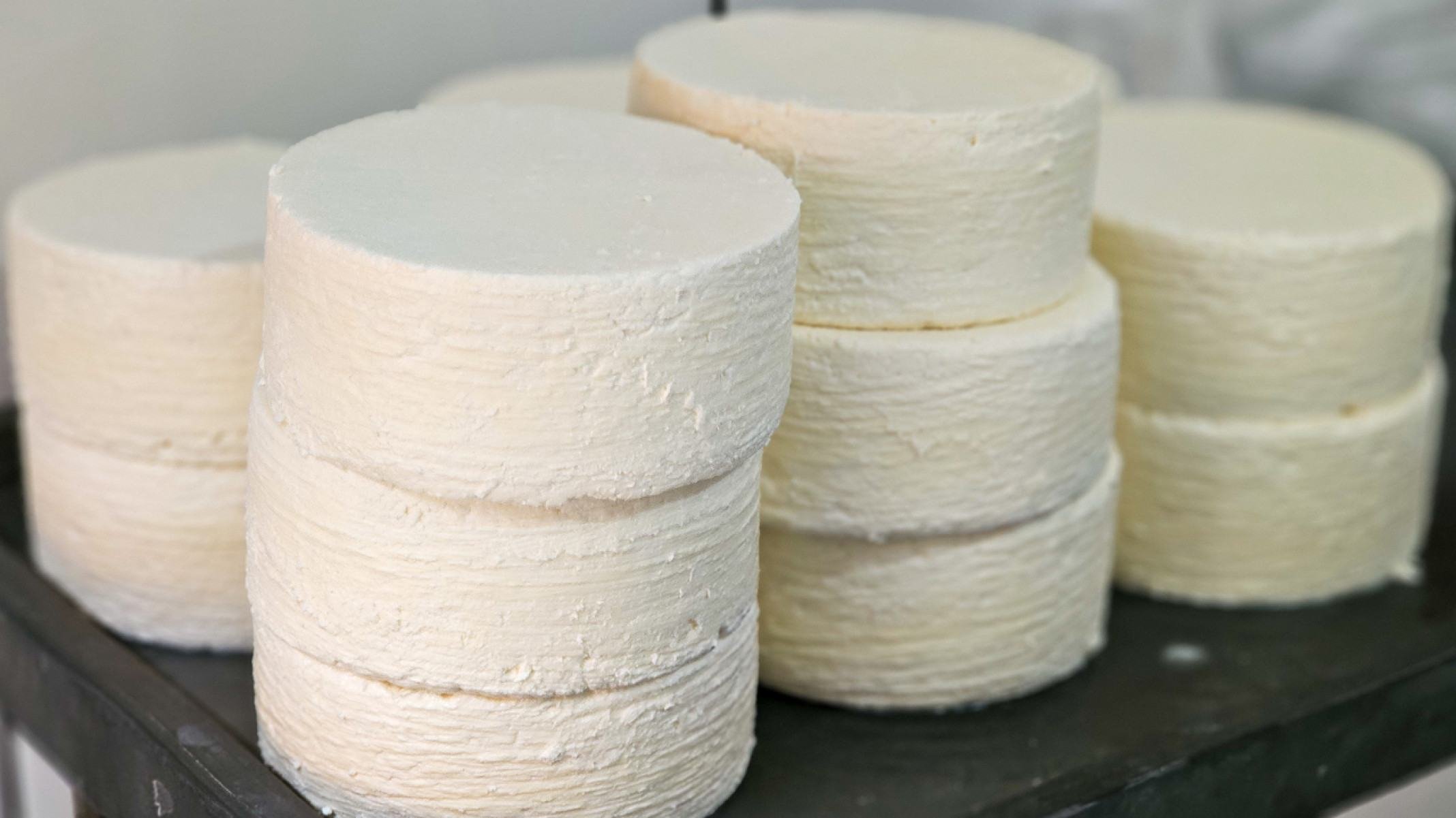 O queijo minas artesanal da região é reconhecido pelo sabor marcante, com ligeira picância, acidez e massa mais cremosa e macia-DIEGO VARGAS/SEAPA-MG/DIVULGAÇÃO