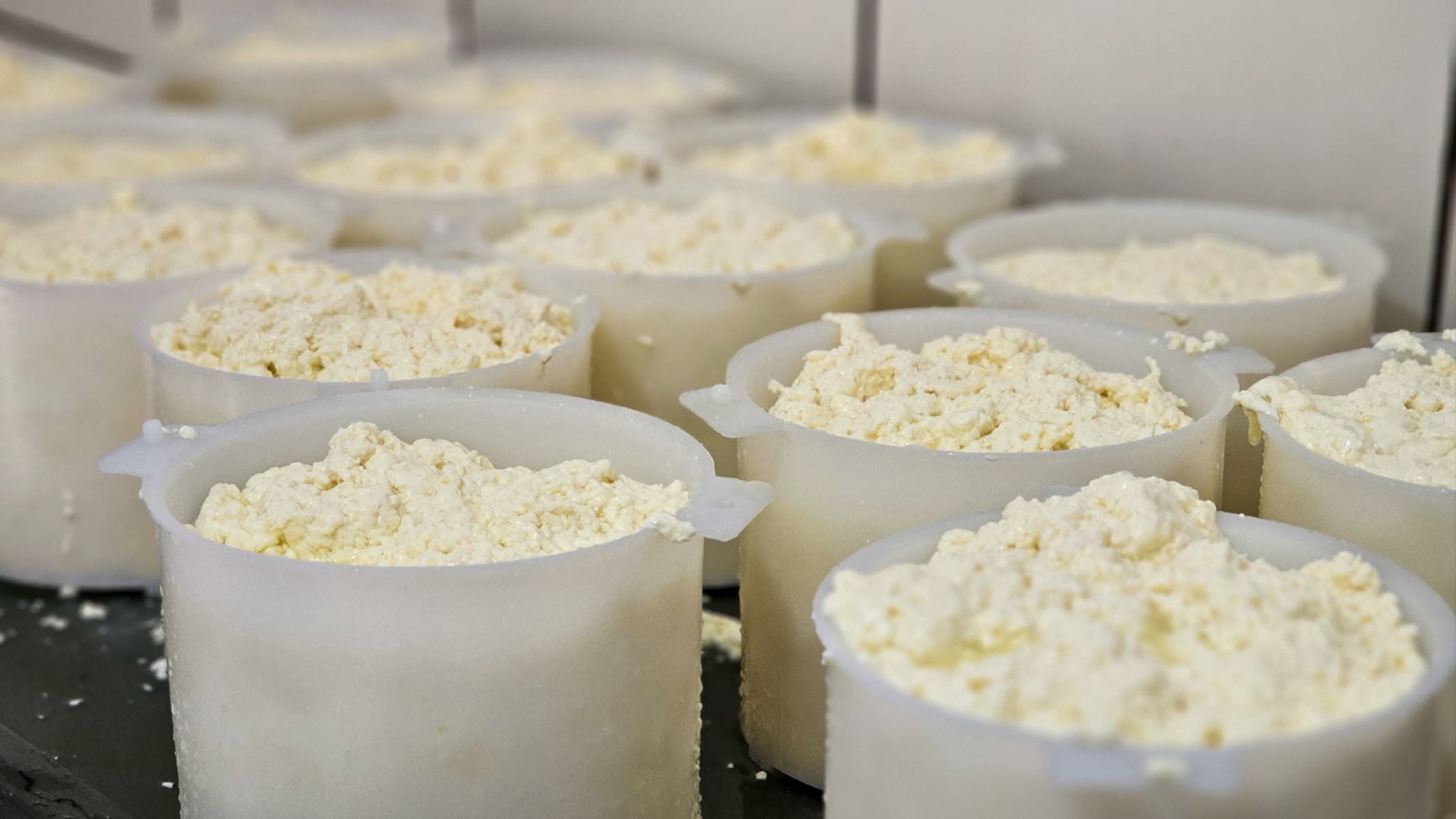 O queijo do Serro foi reconhecido como patrimônio imaterial pelo Instituto do Patrimônio Histórico e Artístico de Minas Gerais (Iepha-MG)-DIEGO VARGAS/SEAPA-MG/DIVULGAÇÃO