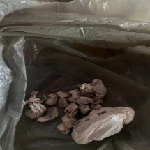 Mulher diz que traficava drogas para aumentar renda do Bolsa Família - PMMG/Divulga&ccedil;&atilde;o