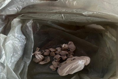 Pedras de crack tinha sido atiradas em lote vago ao lado da resid&ecirc;ncia -  (crédito: PMMG/Divulga&ccedil;&atilde;o)