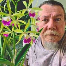 Lenine lança primeiro álbum autoral em uma década; relembre a trajetória do músico -  Reprodução do X @Lenineoficial