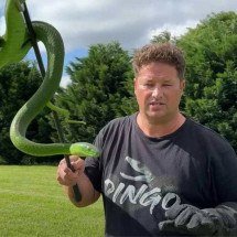 Mamba-verde mata youtuber que filmava a serpente - Reprodução redes sociais 