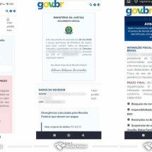 Golpistas usam CPF real para criar cobranças falsas que imitam o gov.br - Receita Federal