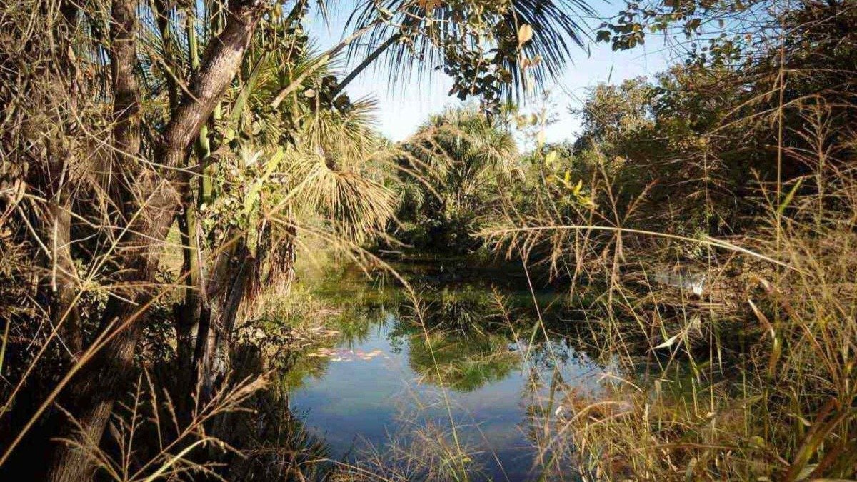 Roteiro pelo sertão mineiro: 5 oásis de natureza e resistência para conhecer - Alexandre Guzanshe/EM/D.A Press