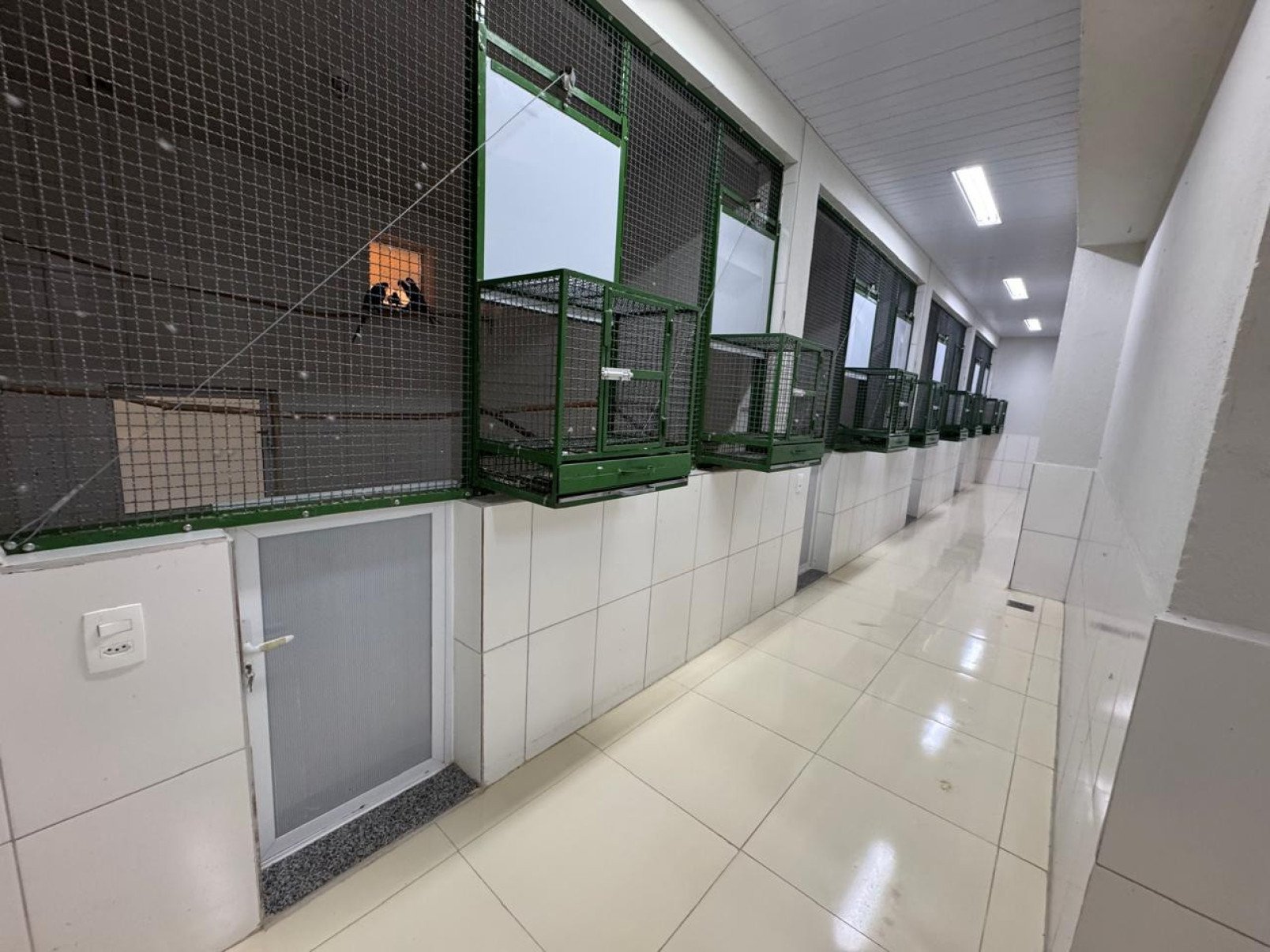 Criadouro Ararinha-azul, localizado em Curaçá (BA)