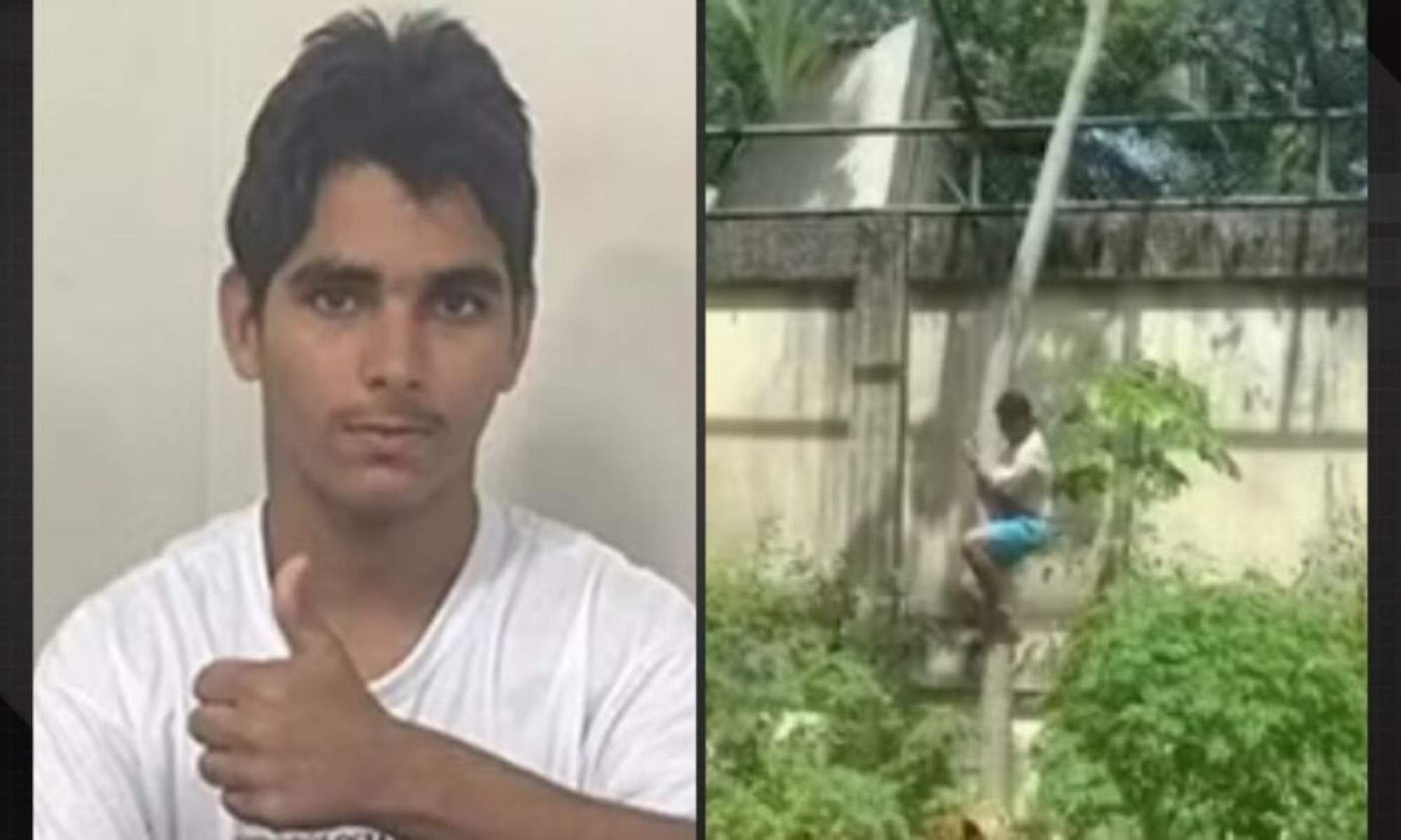 Jovem atacado por leoa morreu por hemorragia no pescoço, aponta perícia - Tupi