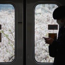 Cidade do Japão cria lei que limita o uso de celular a 2 horas por dia - Pexels/Yuri Yuhara
