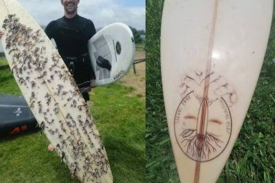 O surfista francês Albarito Bueno, que vive na Austrália, encontrou uma prancha perdida na costa da Tasmânia, há cerca de 18 meses. O objeto esportivo estava a 2.400 km de distância do seu local de origem, em Raglan, uma das praias mais conhecidas da Nova Zelândia.  -  (crédito: Facebook Albarito Bueno)