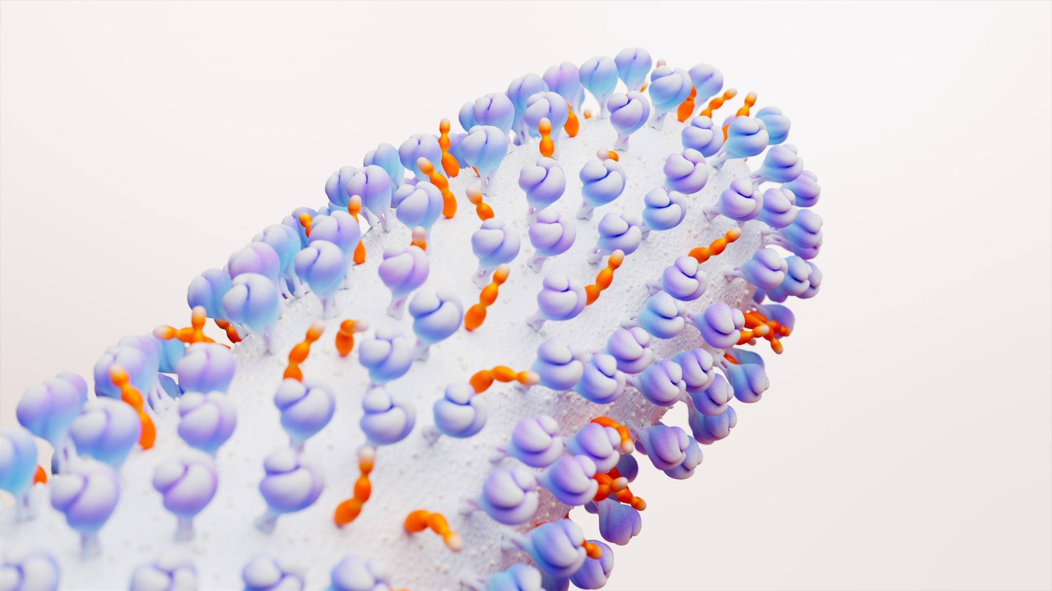 VSR: proteção para adultos 50+ com comorbidade é aprovada - DINO