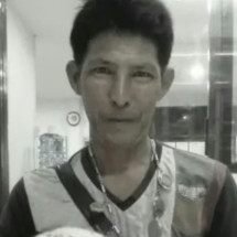 Leões matam tratador diante de turistas atônitos com a cena - Reprodução redes sociais 