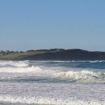 Tubarão-branco mata surfista e choca testemunha: ‘Enorme’ - Wikimedia Commons/Poyt448, Peter Woodard