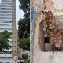 Cupins infestam edifício e construtora é condenada a indenizar moradores - Divulgação moradores