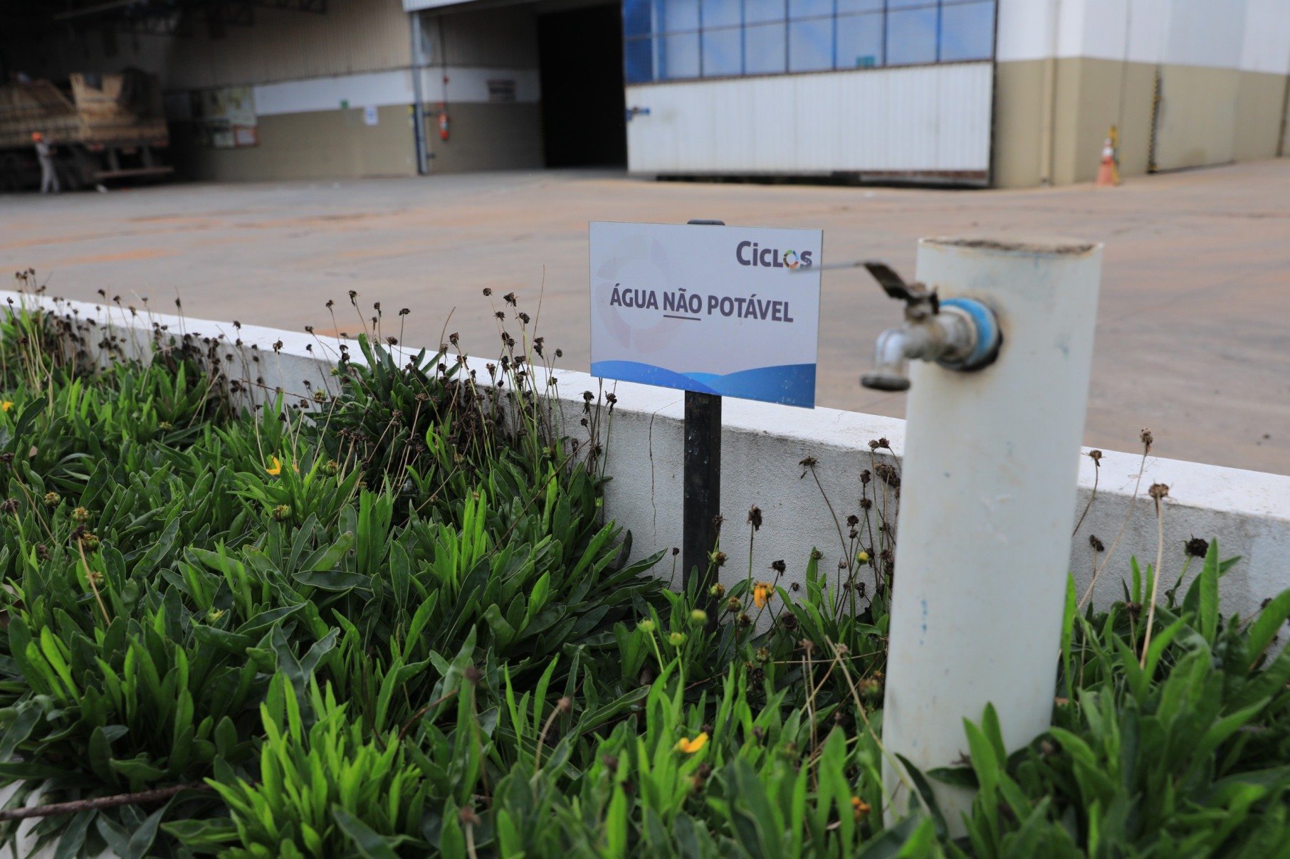 Iniciativa sustentável de MS foi apresentada na COP30 - DINO