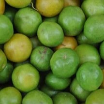 Tesouro da Caatinga, umbu conquista a ciência com múltiplos benefícios à saúde -  Reprodução do Flickr Ivanovitchm