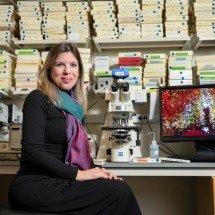 Conjunto de neurônios é responsável pela febre e pelo torpor -  Anna Olivella..2025